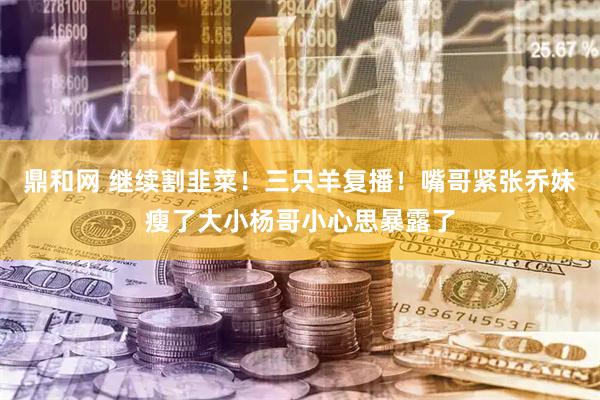 鼎和网 继续割韭菜！三只羊复播！嘴哥紧张乔妹瘦了大小杨哥小心思暴露了
