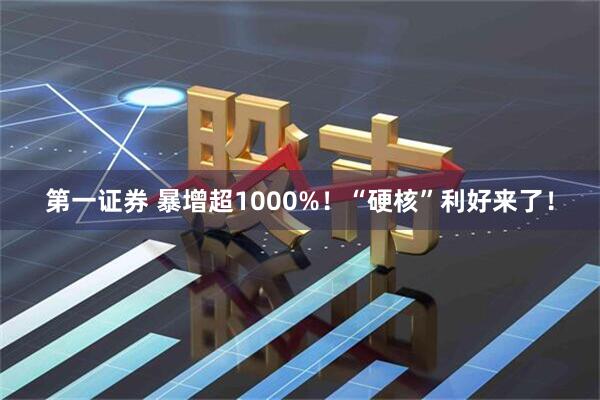 第一证券 暴增超1000%！“硬核”利好来了！