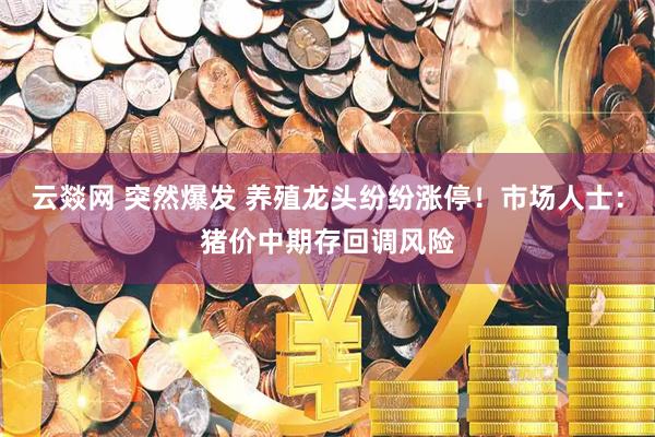 云燚网 突然爆发 养殖龙头纷纷涨停！市场人士：猪价中期存回调风险