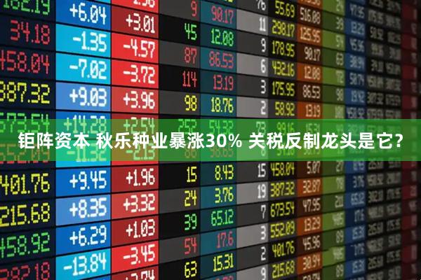 钜阵资本 秋乐种业暴涨30% 关税反制龙头是它？