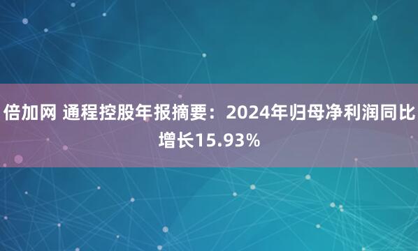 倍加网 通程控股年报摘要：2024年归母净利润同比增长15.93%