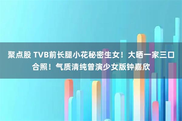聚点股 TVB前长腿小花秘密生女！大晒一家三口合照！气质清纯曾演少女版钟嘉欣