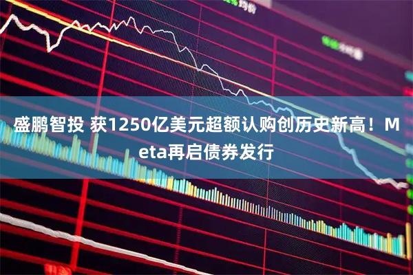 盛鹏智投 获1250亿美元超额认购创历史新高！Meta再启债券发行